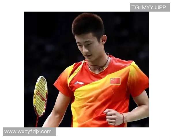 南京羽毛球队在欧锦赛中的战术分析与表现评估 南京羽毛球队在欧锦赛中的战术分析与表现评估